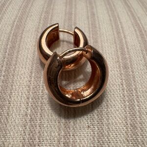 Sterling Silver-Copper earrings